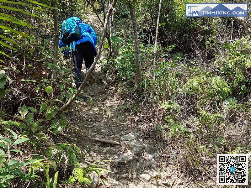 由于左路缓坡同行山友已经行过，所以是次选择了右路险要路线，先易后难是行山法则，切勿一步登天。一开始便是45度的斜坡，必须落手攀爬。