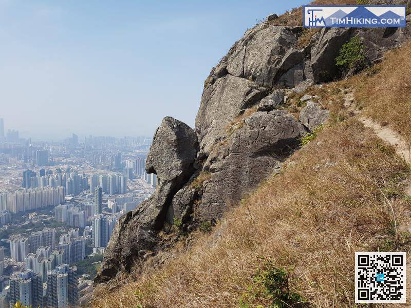 Finally, come to the first attraction Parrot Mouth Rock, can take a photo from the trail on the right, rest assured that it is safe, the left is not a straight cliff.