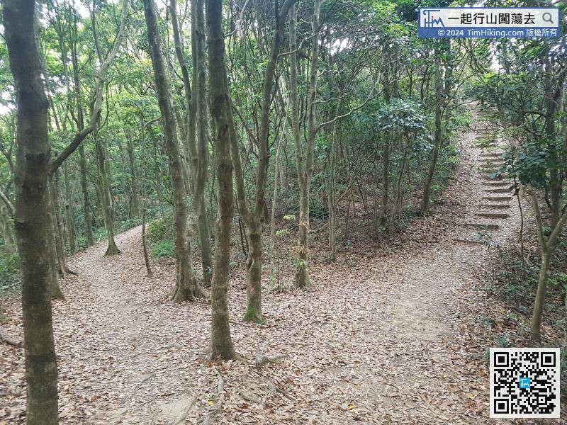 Then it is the downhill road to Fanling,