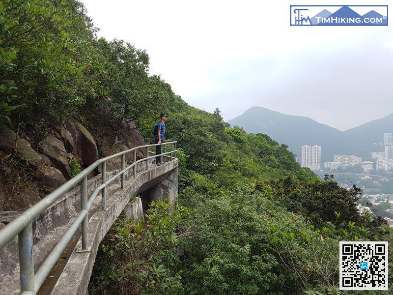 Just a while, the coming bottom is the truly Skyline Path.