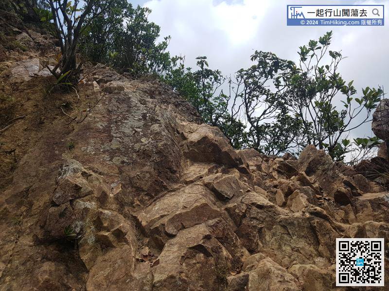This section of the Tiu Shau Ngam trail is dominated by big rocks, with an inclination of about 40-50 degrees.