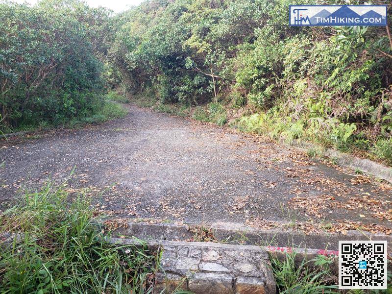 The top of the stairs will lead back to the wide road, and the mountain trail will end here.