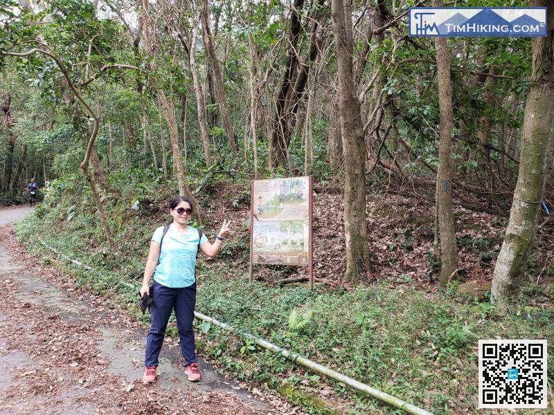 After crossing the forest, connect back to Mount Parker Road again,