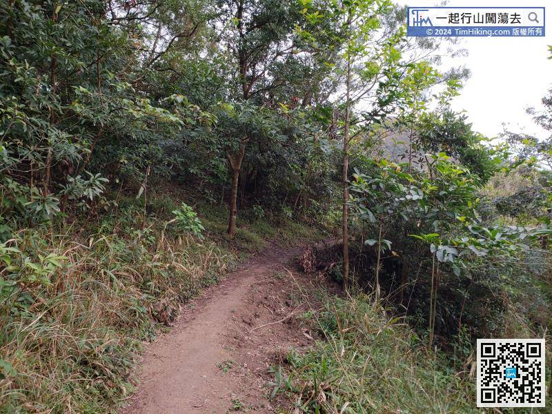 There is a mountain trail on the side of Kowloon Peak Viewing Point, which is the trail leading to Middle Hill and Suicide Cliff.