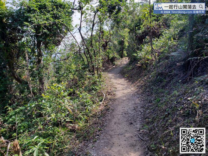 So turn right and head to Pak Tam Road. The trails are mostly flat trails,