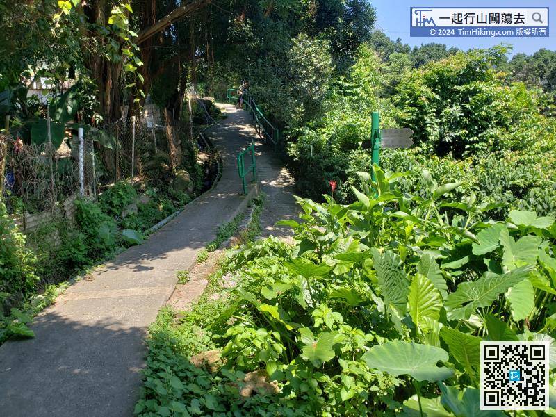 Near the location of Tseng Lan Shue, turn right and go backwards,