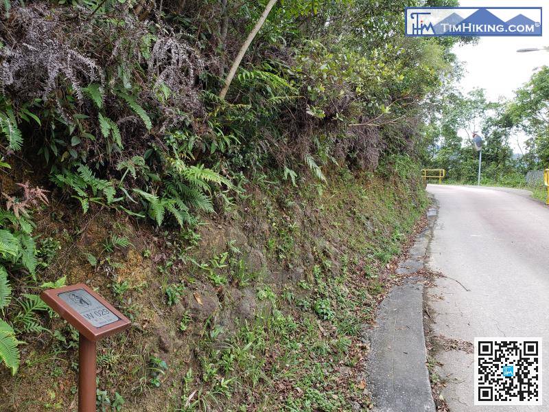 此段卫奕信径是马路