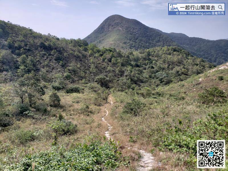 Bypassing the Kwun Yam Shan mountainside, the highest one in front is the Vice Peak of Keung Shan. The main peak of Keung Shan is behind and is covered by Vice Peak insight.
