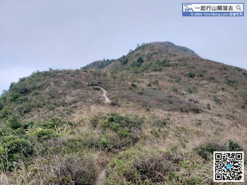 Middle Hill is very obvious, it is the opposite direction of the Kowloon Peak Transmitting Station.