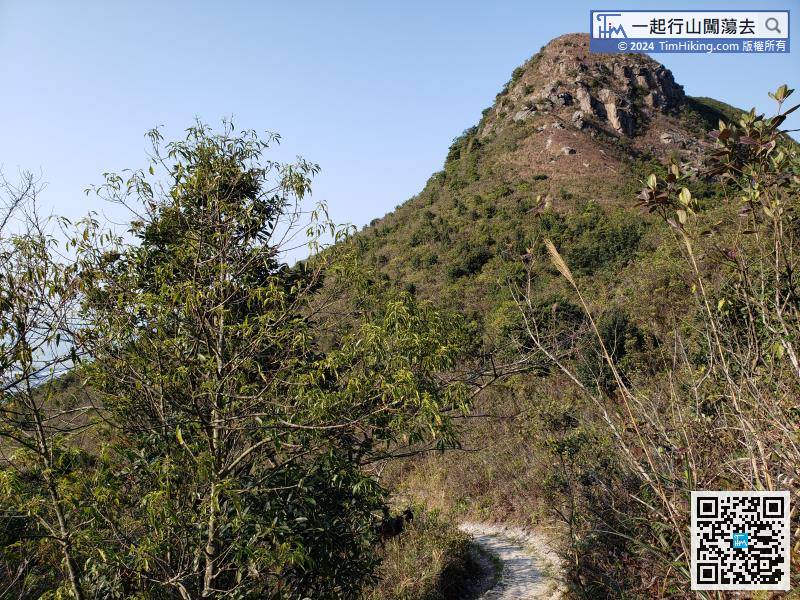 之后便是落山的路，右边可见到婆髻山，山径可见非常直，有如西狗牙。