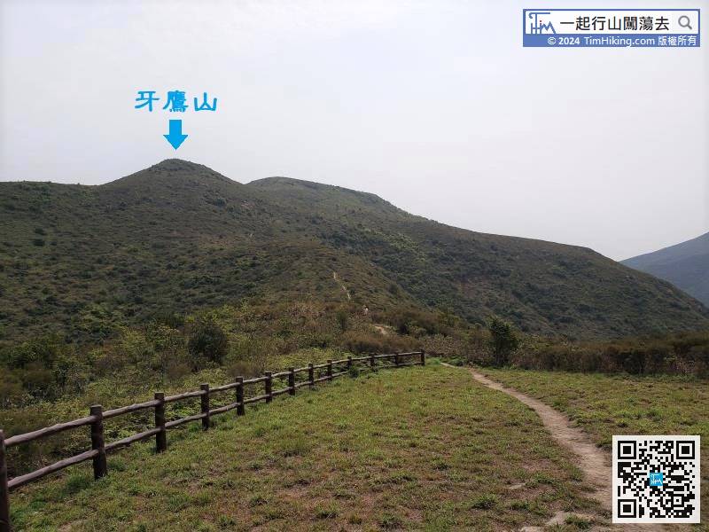 If looking up from Tai O Viewing Point, will see Nga Ying Shan.