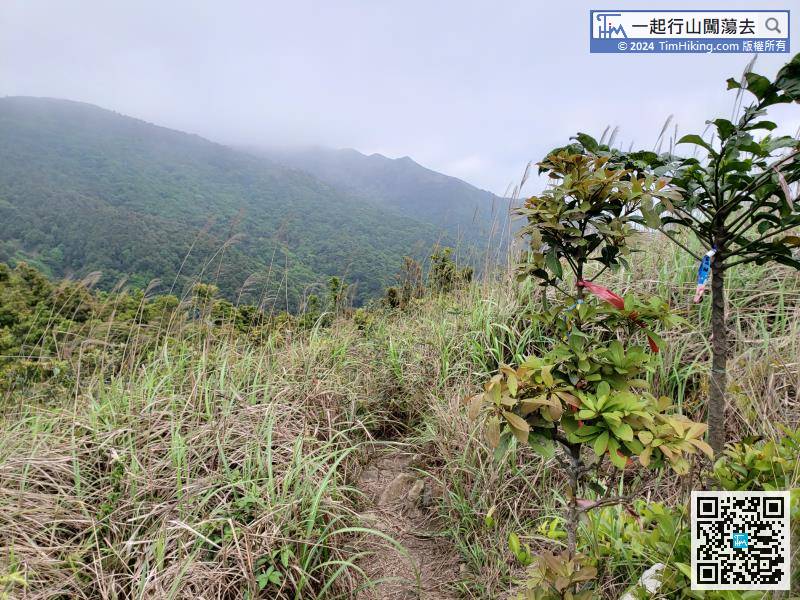 There are two roads leaving Chau Ma Kong, go straight to the more obvious trail down the mountain, the correct direction is southwest, and the other northwest is towards Ng Tung Chai.