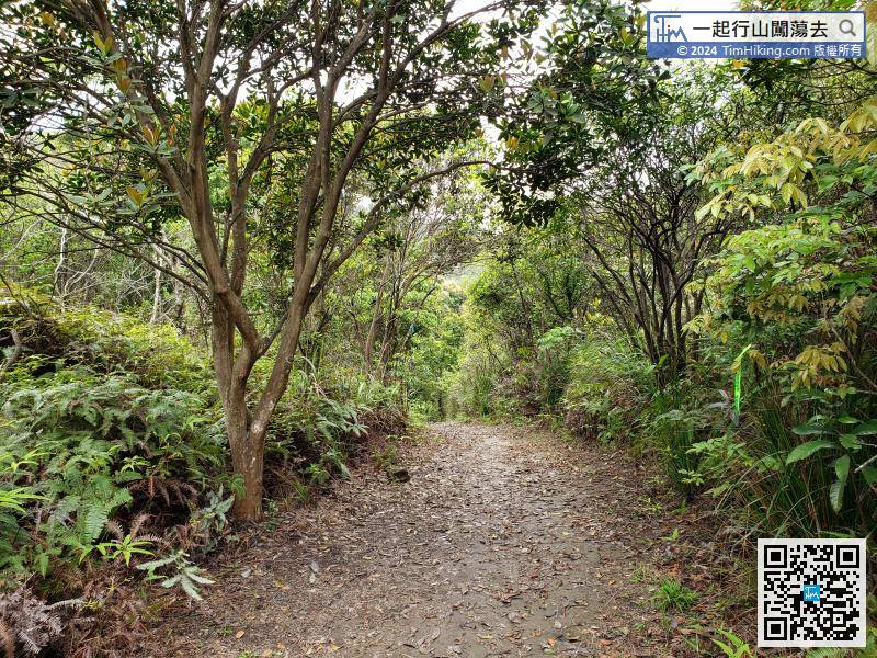 On the flat road, enter the mountainside of Kwai Tau Leng, which is also the highest position of Lam Chung Country Trail.