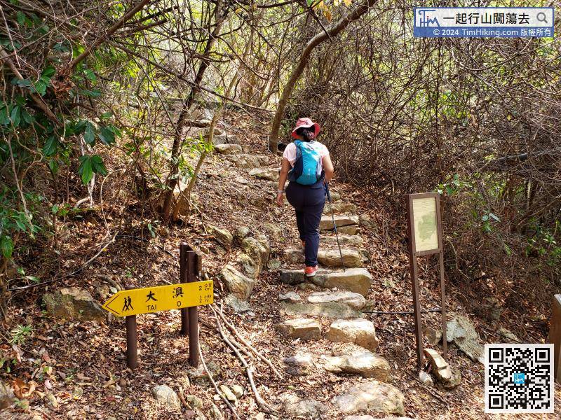 此路线头段非常多梯级，建议有需要的行山人士准备行山杖。