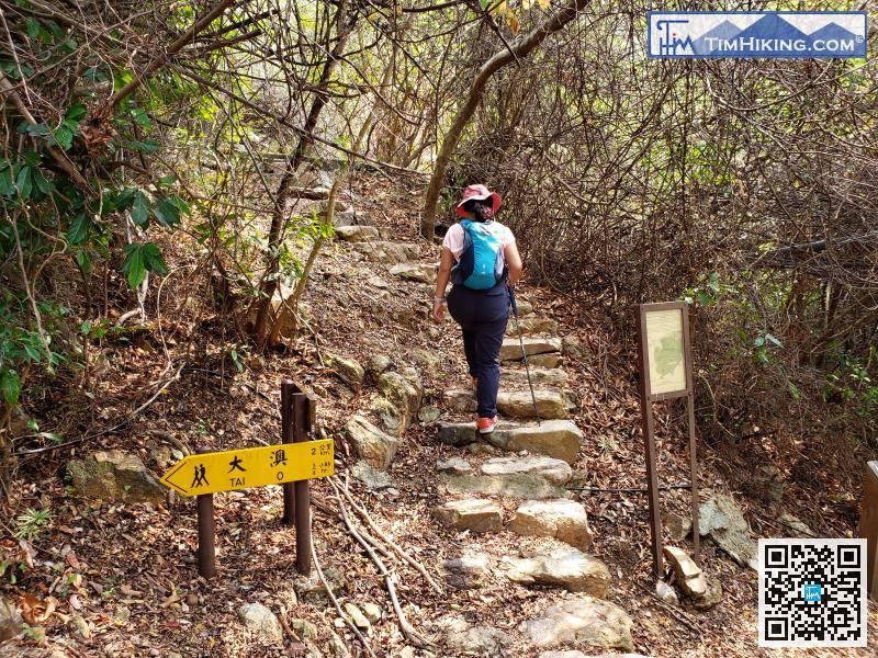 此路线头段非常多梯级，建议有需要的行山人士准备行山杖。