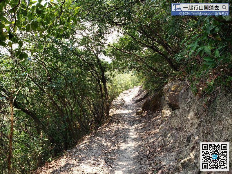 When coming to the middle of Shek Pik Country Trail, continue to be a flat mountain trail,