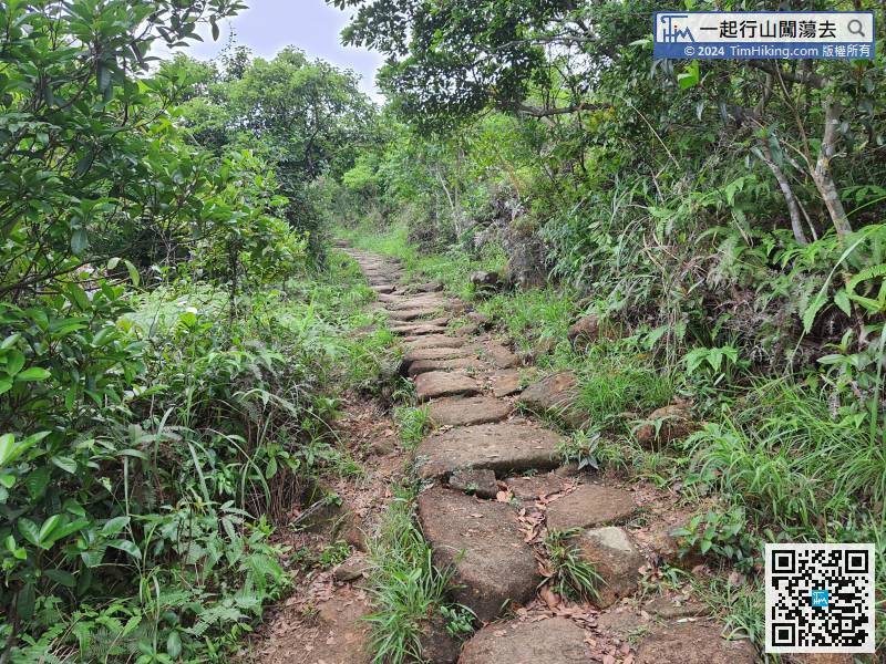 Leaving the Bamboo Tunnel, continue along the big stone-level ancient trail to Mau Ping.