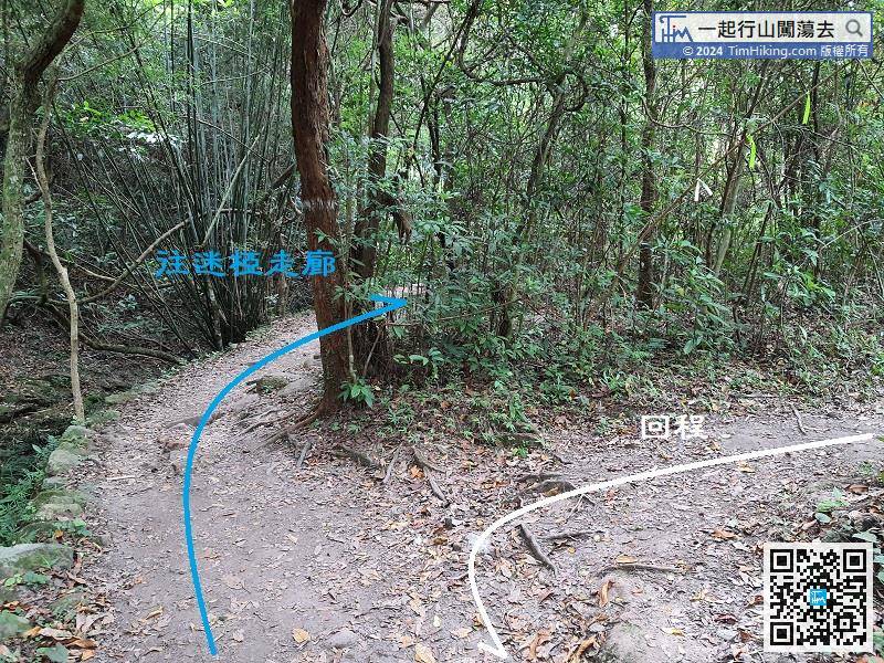 Follow is a very obvious bifurcation, but there is no sign. Walk along the stream on the left to Sam A Chung,
