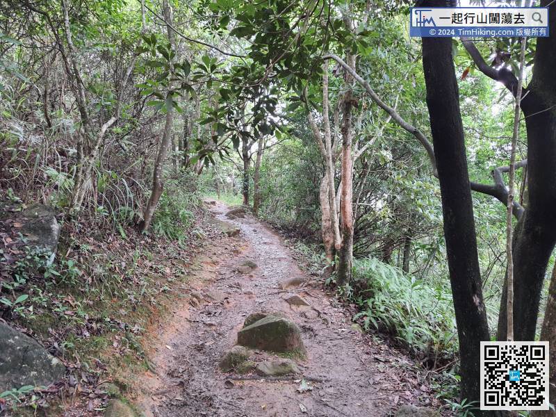 Turn right on MacLehose Trail,