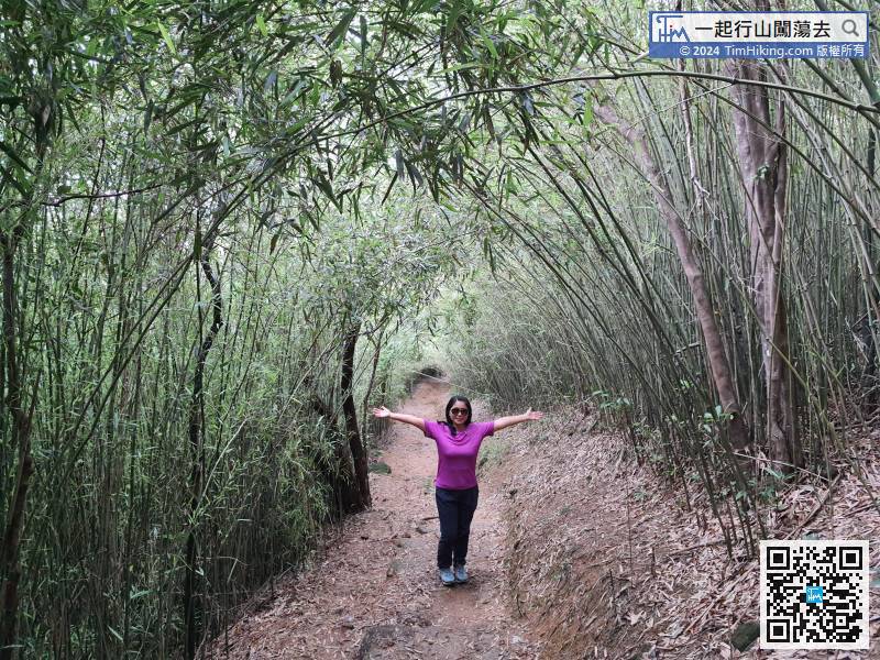 Walking for about 10 minutes from the bifurcation, will enter the Bamboo Tunnel of Pak Kong.