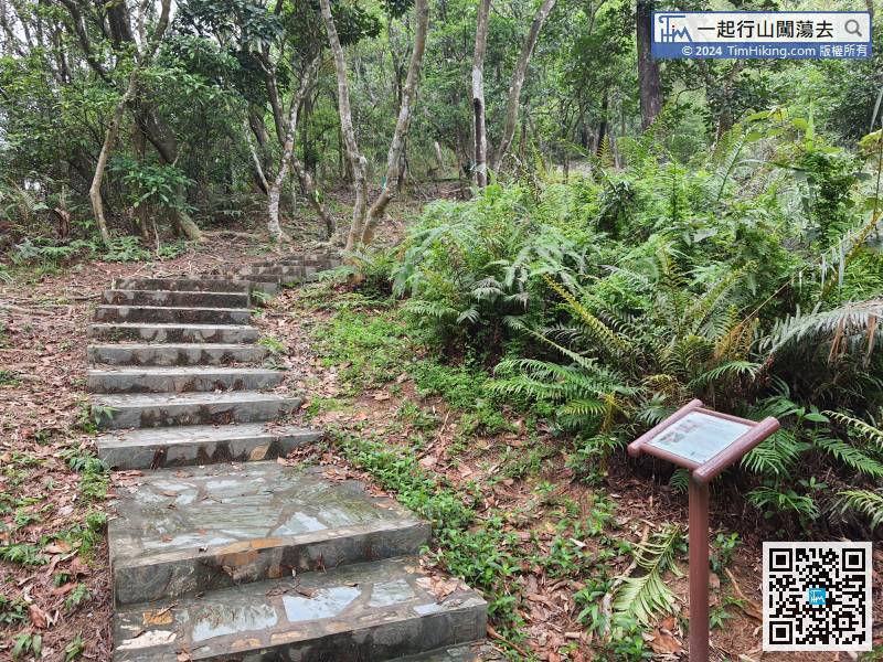 This time starts from the left-hand side. The trail is dominated by steps,