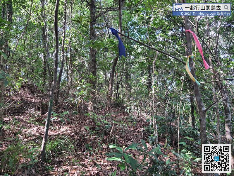 Continue to the direction of Kwai Au Shan. There are more ribbons in this section,