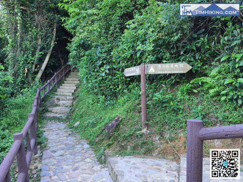 Going up the steps, turn right to Wong Shek Campsite, the Family Trail goes straight up.