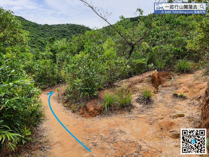 When coming to the bifurcation with no signs, remember to go forward and the right way is the barren trail towards Violet Hill and Hong Kong Parkview.