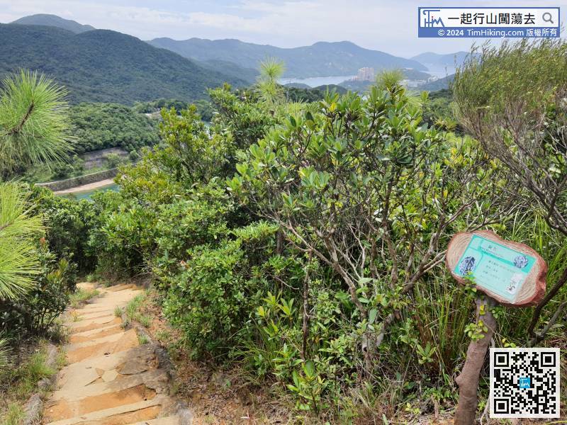 While keep going down the steps, means that the Tai Tam Family Trail is near to the end.