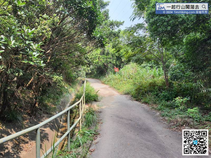 Hong Kong Forest Track (Boa Vista Track Section) is a catchwater trail