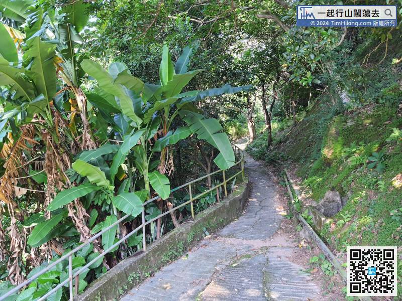 After crossing the cemetery for about 15 minutes, come to Nam Shan Mei and then connect to a trail with a few hikers.