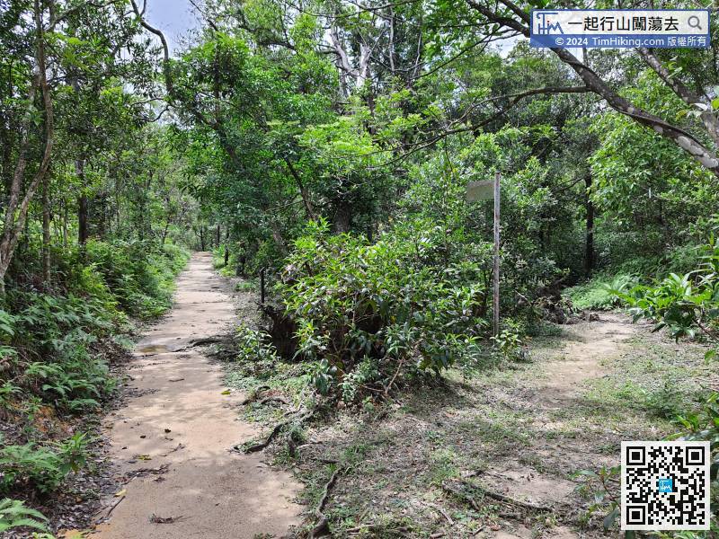 When coming to the next bifurcation, choose the widest main path. The small barren trail on the right is leading to Cheung Sheung grassland directly.