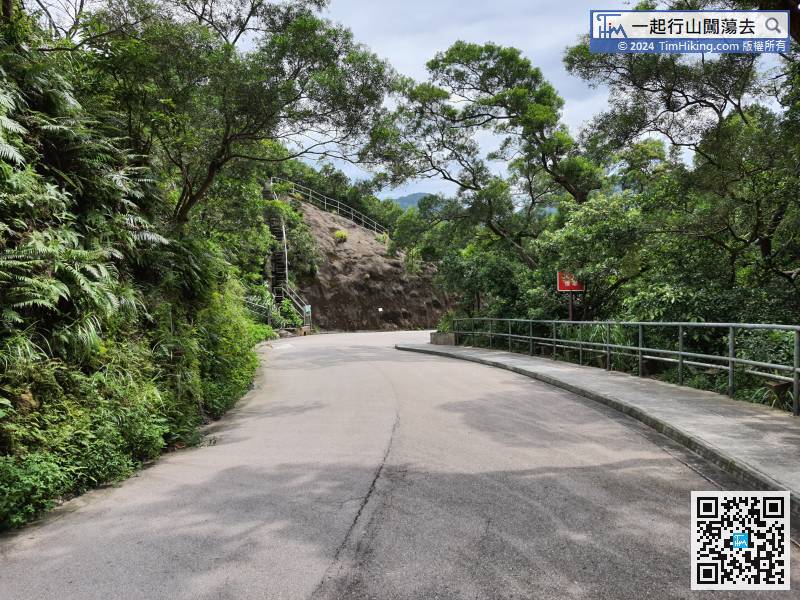 After entering the Tai Tam Country Park, there are all very wide concrete roads,
