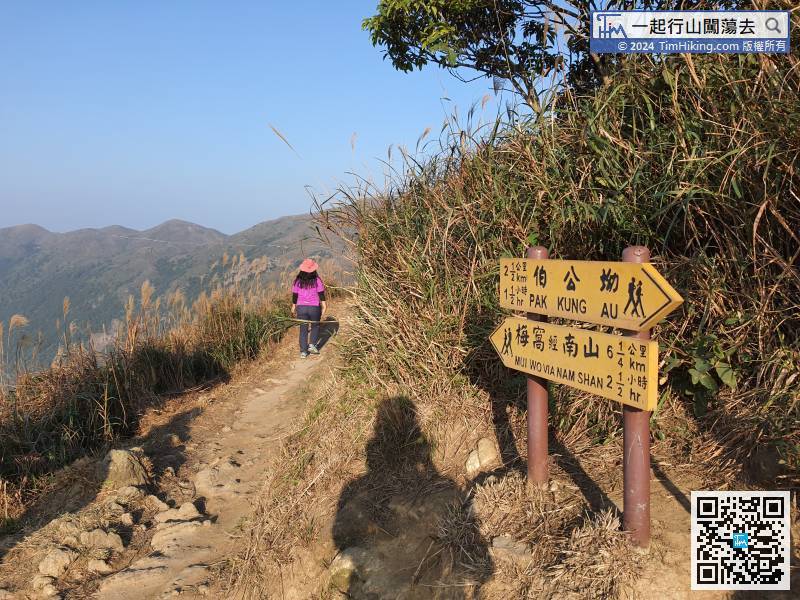Head to Mui Wo, start downhill.