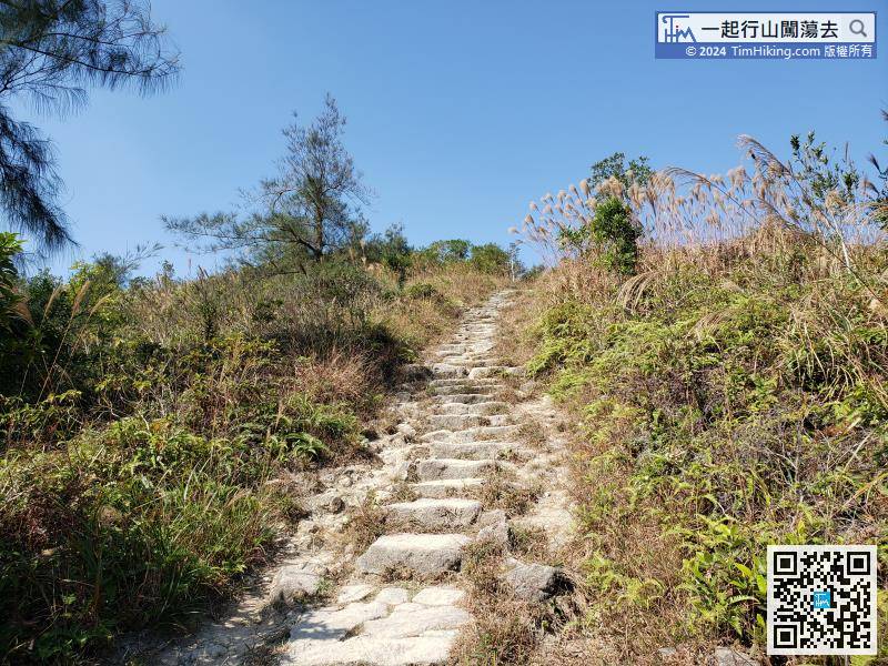 After leaving Cheung Yan Ridge, there is no branching road,