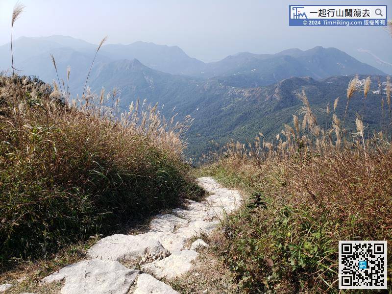 The total descending from the peak is about 450 meters, which is half of Lantau Peak.