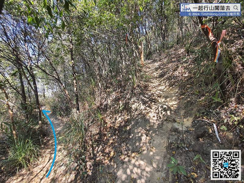 在雁谷迷径行约350米，右边的分叉路是石垒脊。