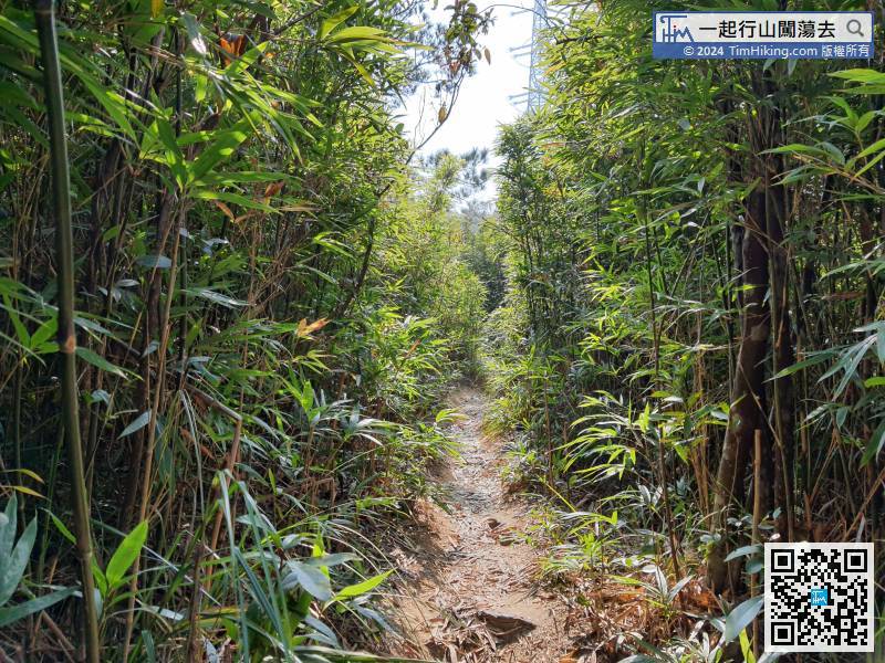 Imperial Concubine Path starts with a gentle slope uphill.
