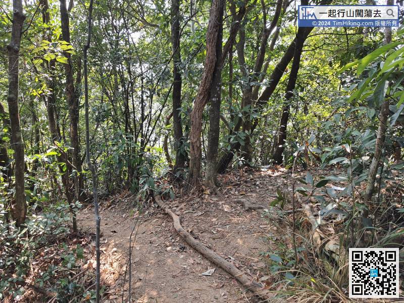 When coming to another bifurcation, both sides are also connected to the MacLehose Trail (Section 5).