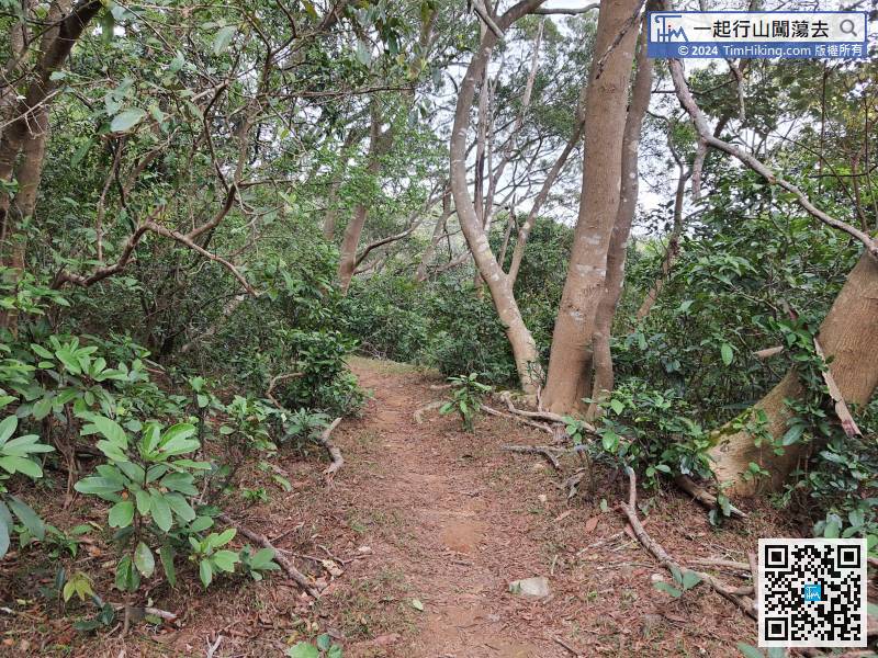 In fact, apart from Shek Lung Kung, all are in closed view, either through forests or tree-lined trails.