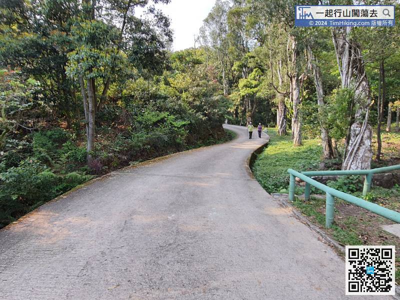 Start off along the wide MacLehose Trail,