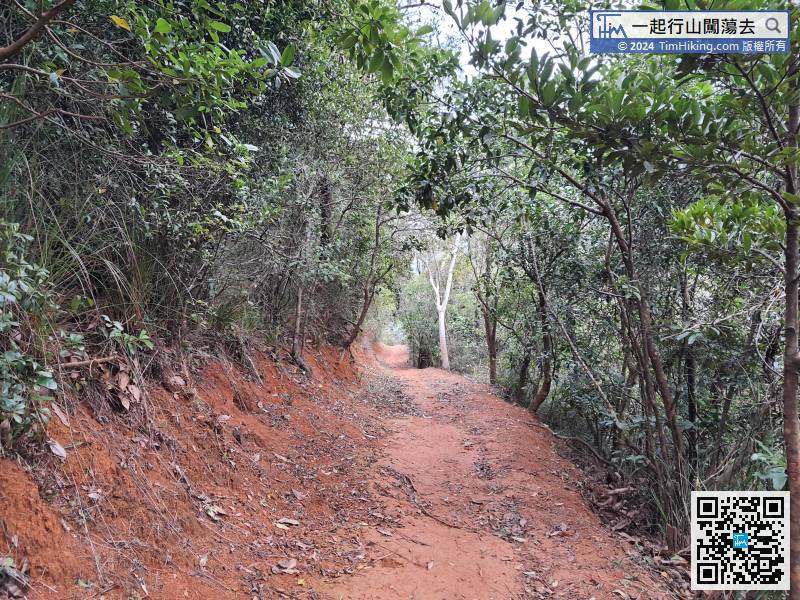 The entire Kap Lung Forest Trail is tree-lined. There are very few open scenery locations,