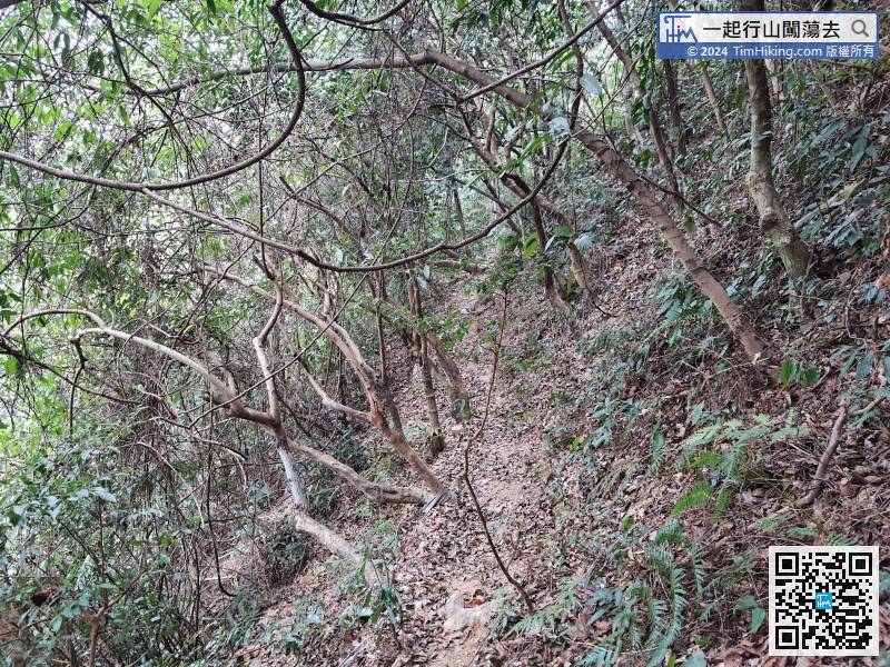 The trail to Ma Mei Ridge is a bit narrow,