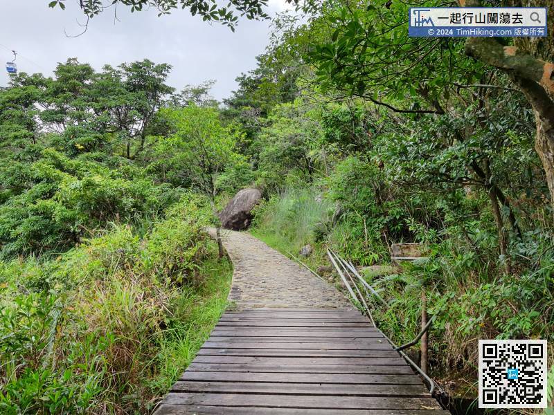 The plank trail is a major feature of the Ngong Ping 360 Rescue Trail,