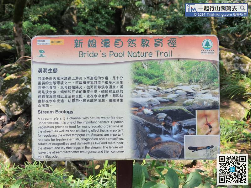 The ninth scenic spot is 'Stream Ecology',