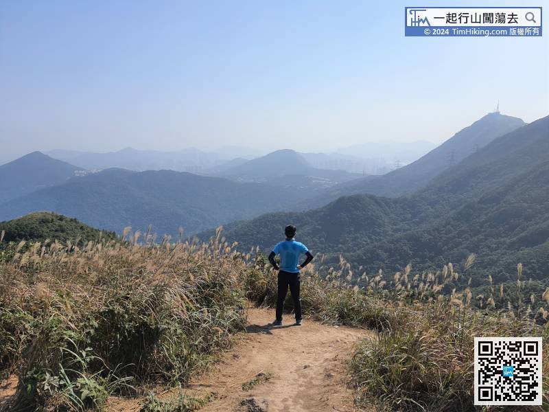 Tung Yeung Shan has a 360-degree view. In autumn, the peak is full of miscanthus.