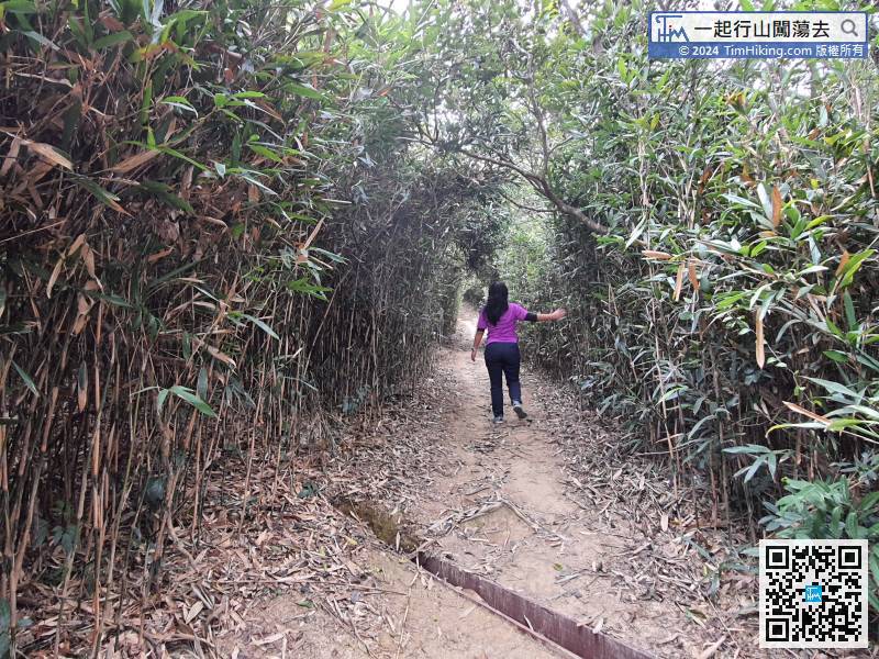 After crossing a small bamboo forest,
