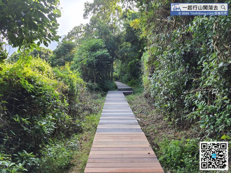 这段其实还是印洲塘郊游径，也是荔谷古道，亦是荔枝窝自然步道。