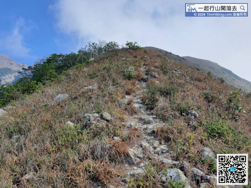 When almost reaching the top of One Tree Ridge, the mountain will become less rugged,