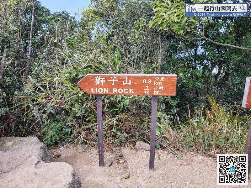 Lion Rock (Lion's Head) is 300 meters ahead.